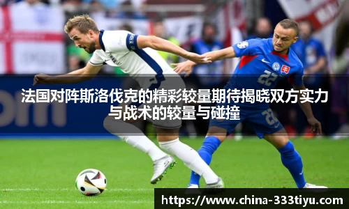 333体育官网